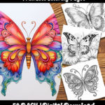 butterfly coloring pages by happy colorist