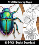 Beetle Coloring Pages: Engaging and Relaxing Activity for All Ages - Printable Beetle-Themed Coloring Sheets for Creative Exploration