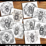 bee coloring pages by Happy Colorist