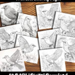 bird coloring page by happy colorist