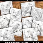 bird coloring page by happy colorist