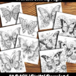 butterfly coloring pages by happy colorist