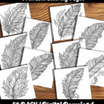 feather coloring pages by happy colorist
