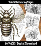 insect coloring pages by happy colorist