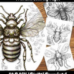 insect coloring pages by happy colorist
