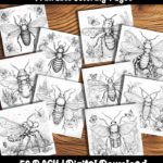 insect coloring pages by happy colorist