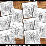 insect coloring pages by happy colorist