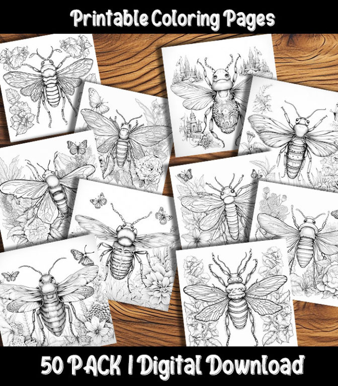 Insect Coloring Pages Digital 50 Pack | Happy Colorist