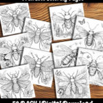 insect coloring pages by happy colorist