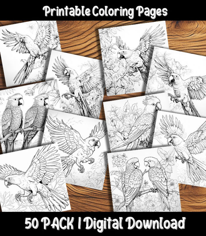 Parrot Coloring Pages Digital 50 Pack | Happy Colorist