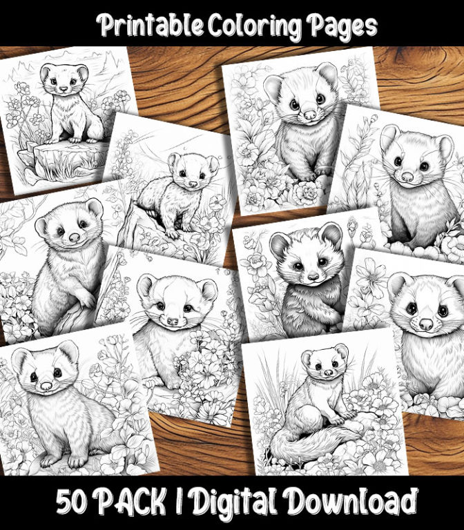 Ferret Coloring Pages Digital 50 Pack | Happy Colorist