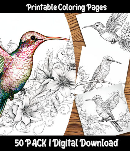 hummingbird coloring pages by happy colorist