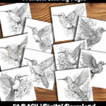 hummingbird coloring pages by happy colorist