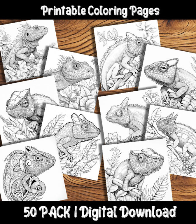 Lizard Coloring Pages Digital 50 Pack | Happy Colorist
