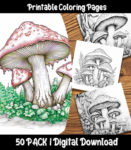 mushroom coloring pages by happy colorist
