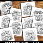 mushroom coloring pages by happy colorist