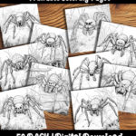 spider coloring pages by happy colorist