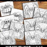 spider coloring pages by happy colorist