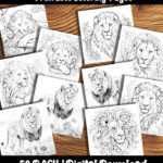 lion coloring pages by happy colorist