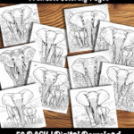 elephant coloring pages by happy colorist