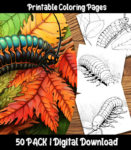 centipede coloring pages by happy colorist