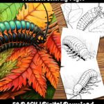 centipede coloring pages by happy colorist