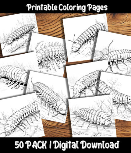 centipede coloring pages by happy colorist