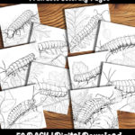 centipede coloring pages by happy colorist
