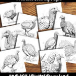 turkey coloring pages by happy colorist