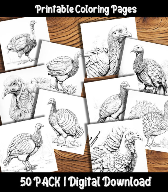 Digital Turkey Coloring Pages Pack from Happy Colorist