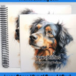 Pawsibilities Coloring Book by happy colorist