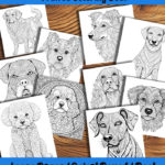 Pawsibilities Coloring Book by happy colorist
