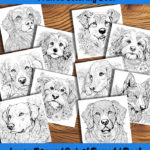 Pawsibilities Coloring Book by happy colorist