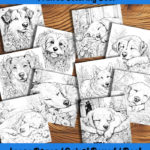 Pawsibilities Coloring Book by happy colorist