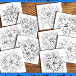 poinsettia perfection coloring book by happy colorist