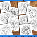 poinsettia perfection coloring book by happy colorist