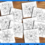 poinsettia perfection coloring book by happy colorist