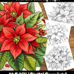 Poinsettia Coloring Pages by happy colorist