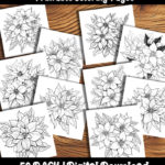 Poinsettia Coloring Pages by happy colorist
