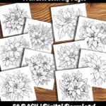 Poinsettia Coloring Pages by happy colorist