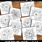 Poinsettia Coloring Pages by happy colorist