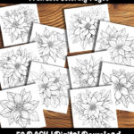 Poinsettia Coloring Pages by happy colorist