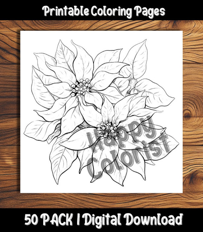 Poinsettia Coloring Pages by happy colorist