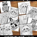 raccoon coloring pages by happy colorist