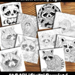 raccoon coloring pages by happy colorist