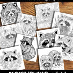 raccoon coloring pages by happy colorist