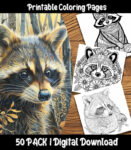 raccoon coloring pages by happy colorist