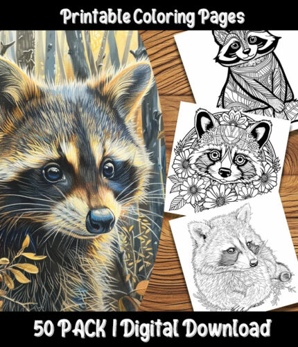raccoon coloring pages by happy colorist