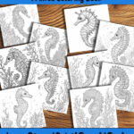 Seahorse Serenity Coloring Book by Happy Colorist
